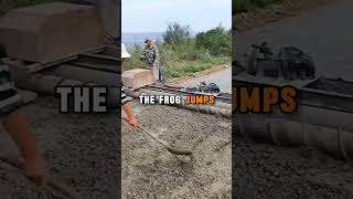 The Jumping Frog Science Experiment funny shorts shortstories jokes [upl. by Gnol911]