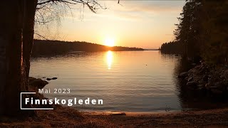 Finnskogleden Mitanderfors  Elgklinten mai 2023 [upl. by Rosemarie]