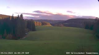 Ein Tag auf dem Sommermoos in Tennenbronn Webcam [upl. by Pardoes]