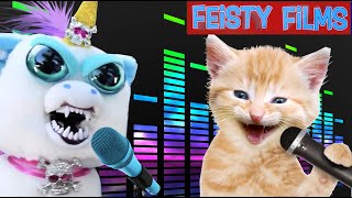 Crazy Feisty Songs Compilation Vol 4 [upl. by Aeslehc301]