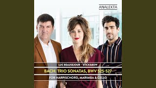 Trio Sonata No 1 in Eflat Major BWV 525 I Allegro Arr for Harpsichord Marimba amp Cello [upl. by Kippar]