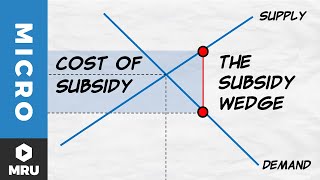 Subsidies [upl. by Renwick]