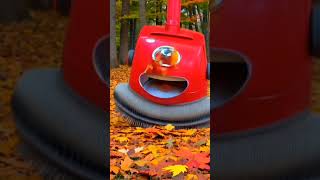 Henry the Hoover cleans up the leaves 🍂🍂🍂 [upl. by Ambrosio]