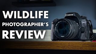 Canon 80D for Wildlife Photography  REVIEW [upl. by Maxim15]