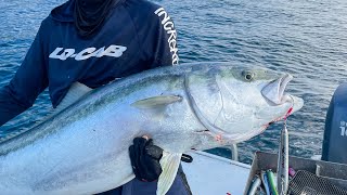 LIFETIME Topwater kingfish NZ [upl. by Liemaj]