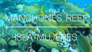 Manchones Reef  Isla Mujeres 4K [upl. by Yelekreb]