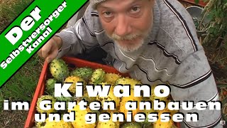 Kiwano im Garten anbauen und geniessen [upl. by Lehar]