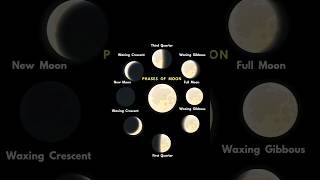 Phases of Moon  Moon  Full Moon  New Moon  Waxing Crescent  Waning Gibbous  Night Sky  Space [upl. by Gaut]