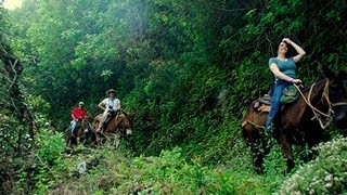 Molokai Mule Ride [upl. by Olen]