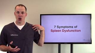 7 Symptoms of Spleen Dysfunction [upl. by Ayortal]