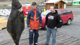 Heilbot IJsland 57kg Sudavik [upl. by Krein]