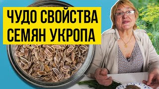 На что способна всего одна ложка СЕМЯН УКРОПА [upl. by Jewel]