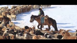 Samariin gurvan tolgoi Uuganbayar Tuvshinsaihan [upl. by Bristow956]