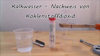 Nachweis von Kohlenstoffdioxid mit Kalkwasser [upl. by Acnoib544]