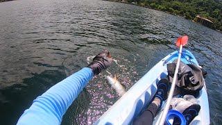 BEST CATCH EVER ON THE KAYAK Surprise Catch Fishing For Food In Trinidad Catch amp Cook  Baked Fish [upl. by Arais783]