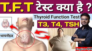 Thyroid  TFT test  TFT test in Hindi  Thyroid Function Test  Thyroid Gland  TSH  T3  T4 [upl. by Yemac]