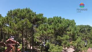 Pinamar Drone y Playa [upl. by Lalita]