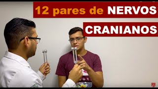 12 pares de nervos cranianos [upl. by Einalam]