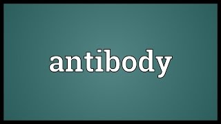 Antibody Meaning [upl. by Edak]