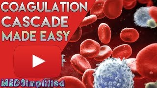 Coagulation Cascade SIMPLEST EXPLANATION  The Extrinsic and Intrinsic Pathway of HEMOSTASIS [upl. by Enitsahc]