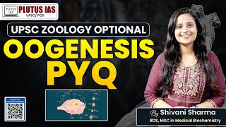 PLUTUS IAS  Oogenesis PYQ Explained  Zoology Optional for UPSC by Shivani Sharma upsc zoology [upl. by Lyret]