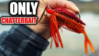 The ONLY 2 CHATTERBAIT Combos you NEED [upl. by Enalb366]