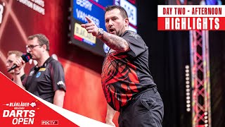 BIG FISH GALORE 🐠  Day Two Afternoon Highlights  2024 Belgian Darts Open [upl. by Enelaj595]