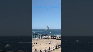 Port Noarlunga Beach Adelaide beach travel australia inspiration fun friends shorts [upl. by Gnilsia333]