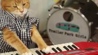 KEYBOARD CAT 96 TEARS [upl. by Fugate]