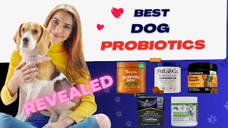 Top 5 Best Probiotics for Dogs Supplement Review in 2023 [upl. by Popelka]