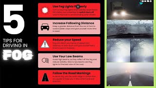 How to drive on a foggy road I Tips for driving on a Foggy places l [upl. by Madda]