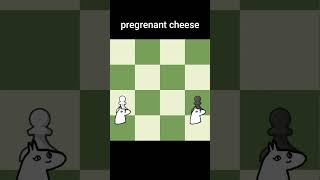 Pregnant Chess Update [upl. by Tse70]