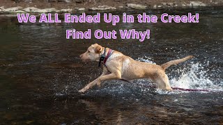 Evansburg State Park Hiking  Skippack Creek Loop Trail and Creek Retrieving [upl. by Jenni]