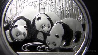 2013 Silver Chinese Panda [upl. by Jarrett]