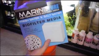 How amp Why Im Adding More Marine Pure To My Sump  Reef Tank [upl. by Aehcim]