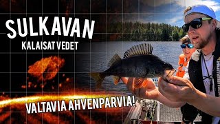 AHVEN MUIKKUPARVIEN PERÄSSÄ  PARIN TUNNIN TIEDUSTELURETKI [upl. by Ariad588]