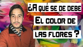 El color de las flores [upl. by Azial930]