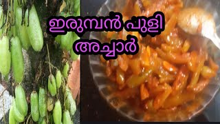 വായിൽ വെളളമൂറും ഇരുമ്പൻ പുളി അച്ചാർBilimbi Pickle Recipem s b craft n cooking malayalam [upl. by Kabob908]