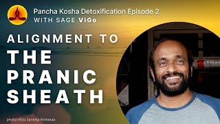 PANCHA KOSHA Detoxification episode 2  Alignment to the pranic sheath [upl. by Yarezed]