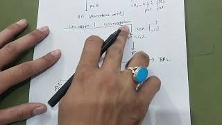 EICOSANOIDS SYNTHESIS AND FUNCTION WITH EASY MNEMONICSbiochemistry carbohydrate nmdc dr mbbs [upl. by Ballard]