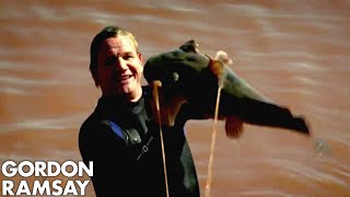 Gordon Ramsay Tries Catching Catfish In Oklahoma  Gordon Ramsay [upl. by Ennaeirrac297]