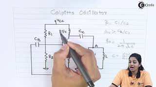 Colpitts Oscillators  Oscillators in Basic Electronics  Basic Electronics [upl. by Naicad]