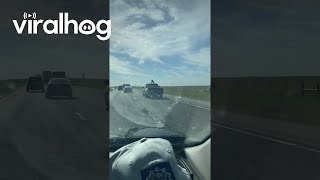 Dog Jumps From Truck Bed To Roof On Interstate  ViralHog [upl. by Anthia]