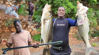 my first catch with my new ermes spear gun accurate catch fire roasted ripe plantain fish [upl. by Hagile]