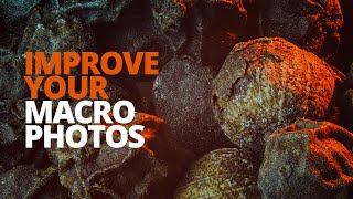 Easy tips to improve your macro photography at home [upl. by Gildea]