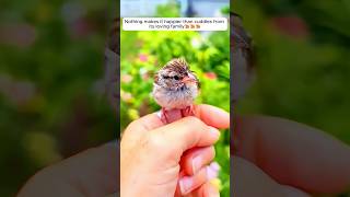 This woman rescued a baby bird giving it a loving home [upl. by Nnylecyoj]