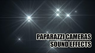 Paparazzi Camera Sound Effects 📸 Camera Sounds [upl. by Nirahs]