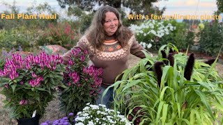 Fall Plant Haul With A Few Great Plants For Pollinators [upl. by Katina]