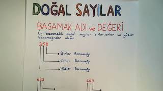 3 Sınıf Matematik Dersi Basamak Adı Sayı Değeri Basamak Değeri ve Çözümleme [upl. by Ire514]