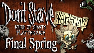 NEW OFFICIAL amp FULL WurtWinonaOcean Update  Staying Afloat  Dont Starve Together Guide [upl. by Powel702]